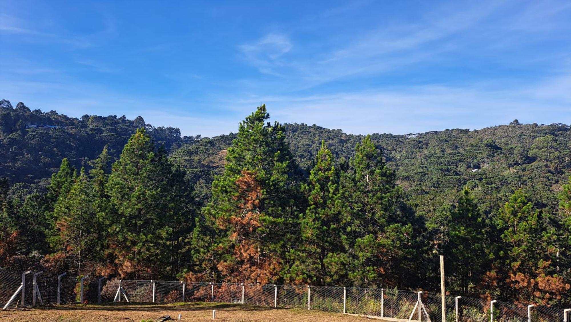 Chale Luz Do Luar Romantismo E Uma Linda Vista Campos do Jordão Kültér fotó